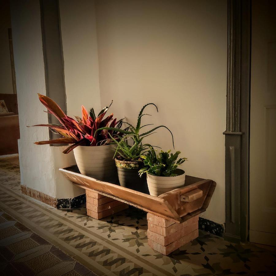 Casa Rural Maribel Santa Amalia Zewnętrze zdjęcie